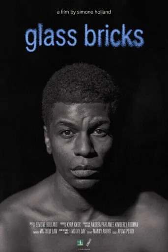 Glass Bricks Film izle