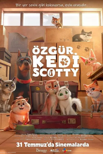Özgür Kedi Scotty Film izle