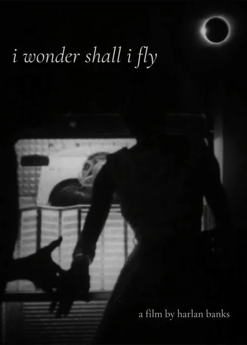 i wonder shall i fly afişi