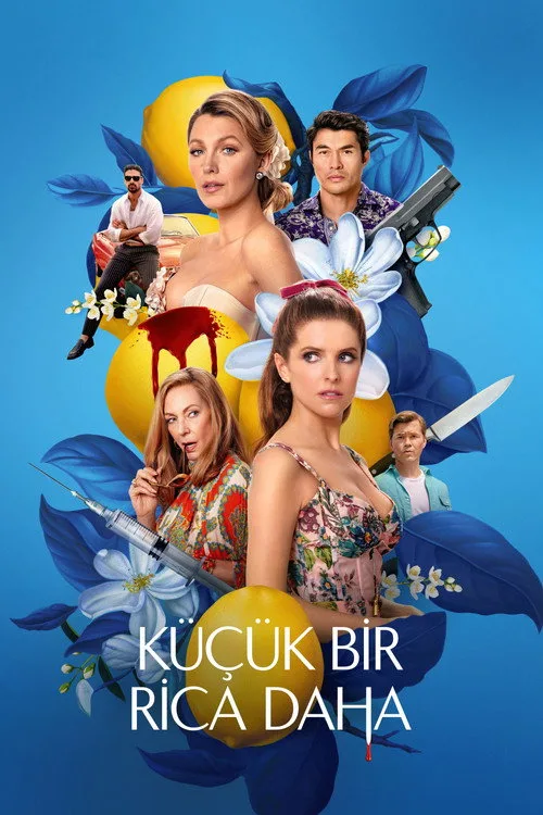 Küçük Bir Rica Daha afişi