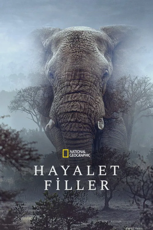 Hayalet Filler afişi