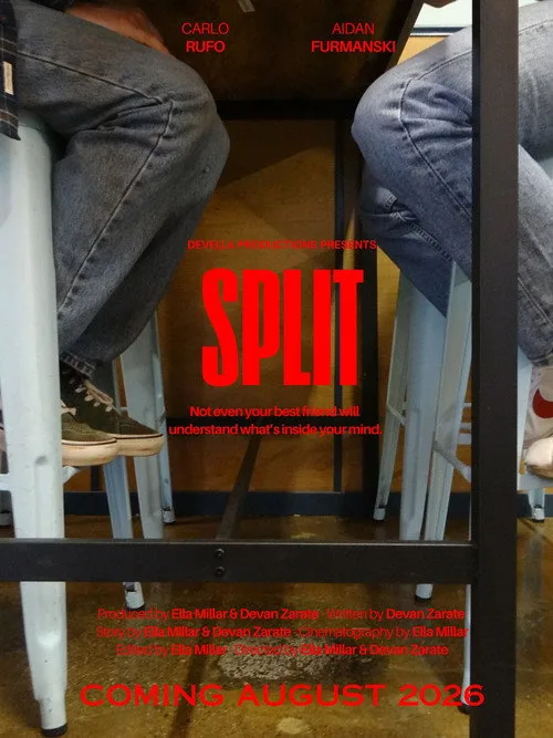 Split afişi