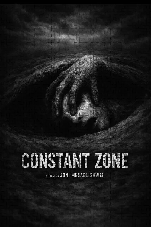CONSTANT ZONE afişi