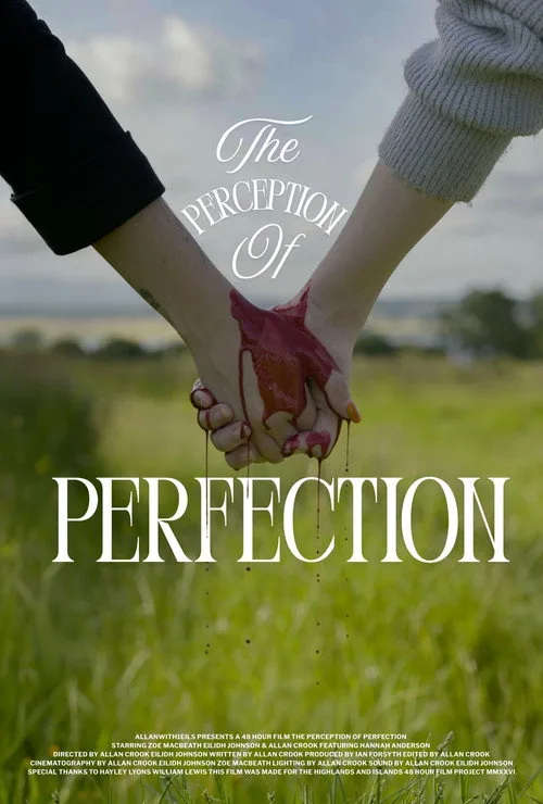 The Perception of Perfection afişi