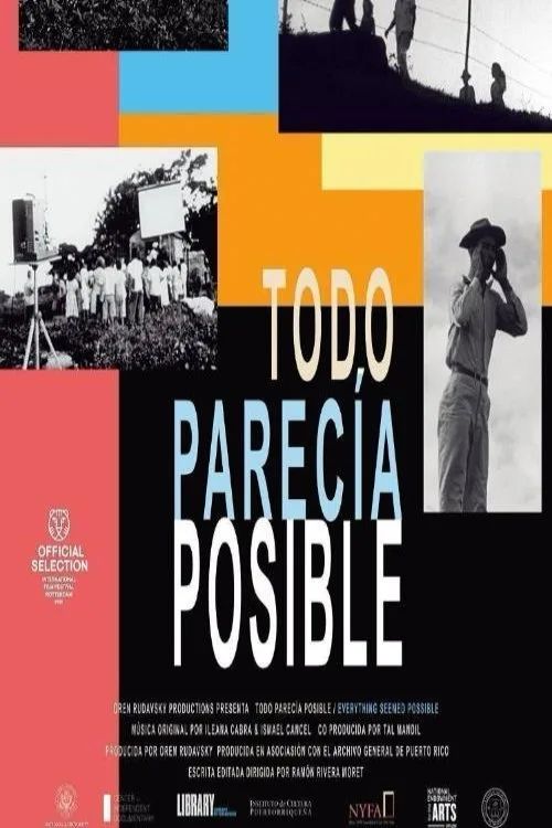 Todo parecía posible afişi