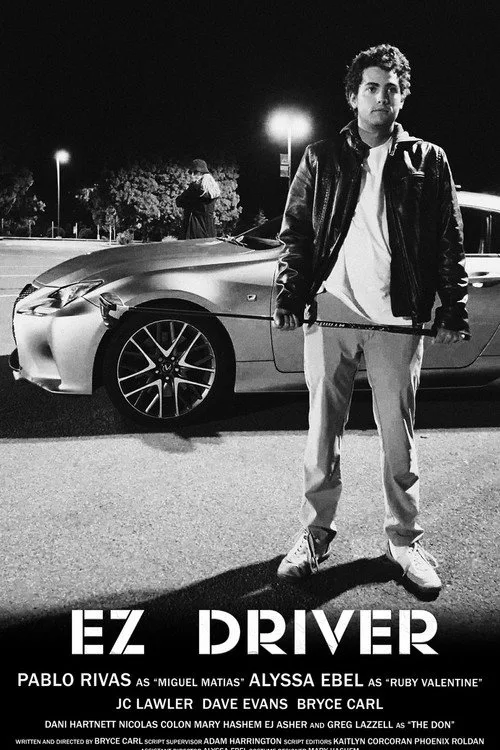 EZ Driver afişi