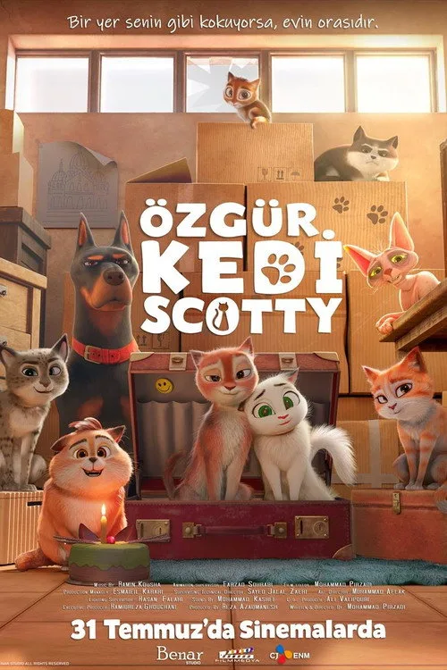 Özgür Kedi Scotty afişi