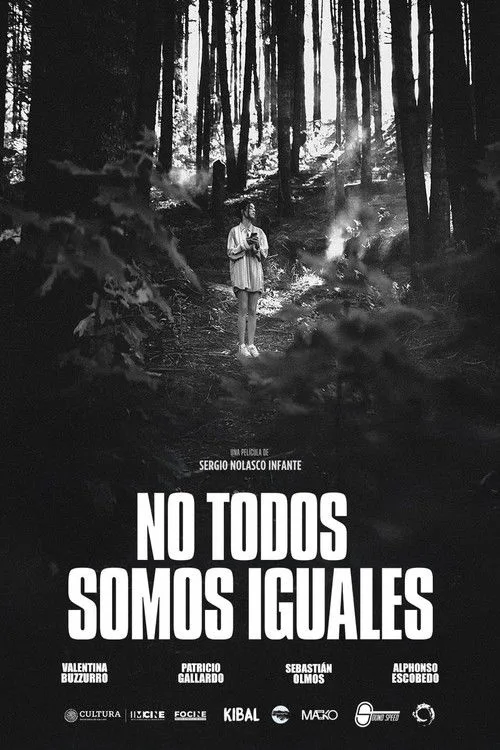 No todos somos iguales afişi
