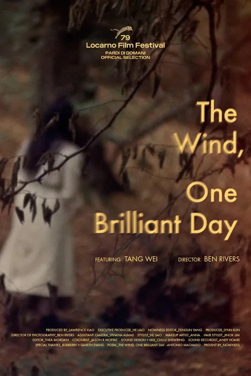 The Wind, One Brilliant Day afişi