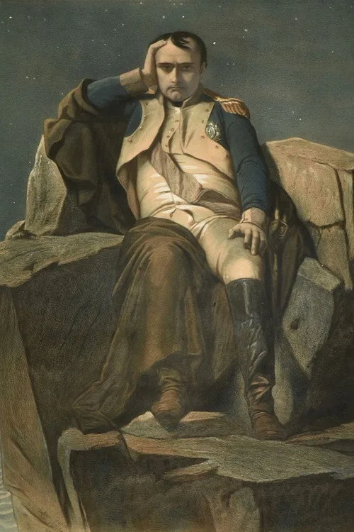 The Last Days of Napoléon afişi