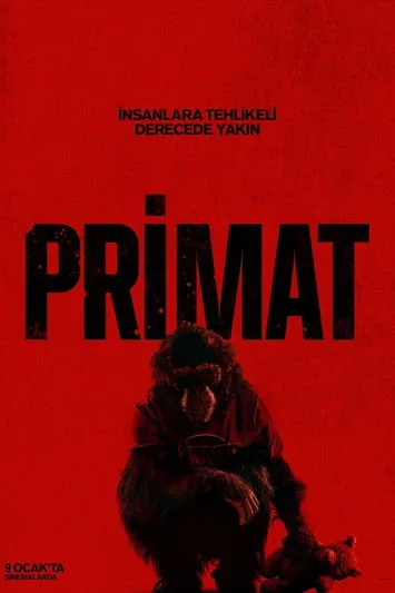 Primat afişi