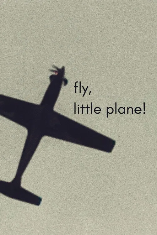 fly, little plane! afişi