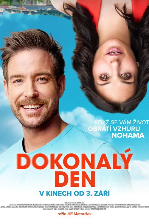 Dokonalý den afişi