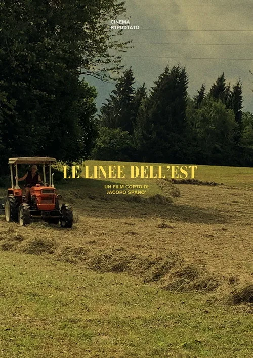 Le linee dell'est afişi