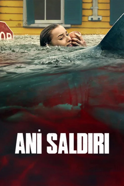 Ani Saldırı afişi