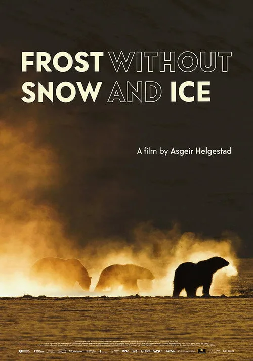 Frost uten Snø og Is afişi