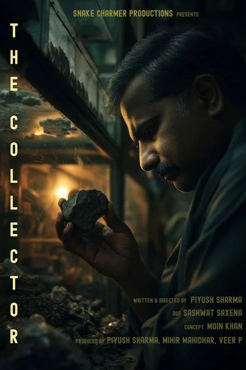 THE COLLECTOR afişi