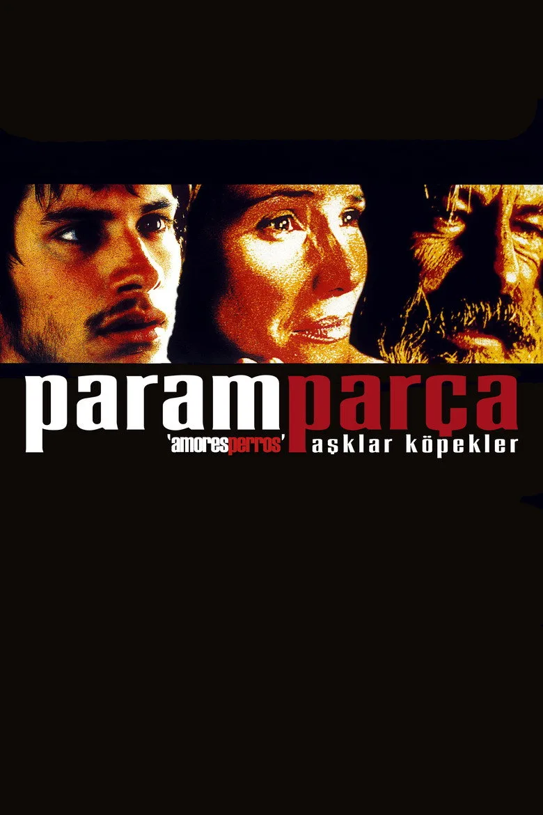 Paramparça Aşklar Köpekler Film izle