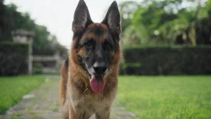 Gunther'ın Serveti S01B02