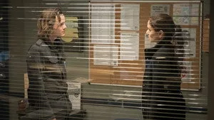 Colony S03B13